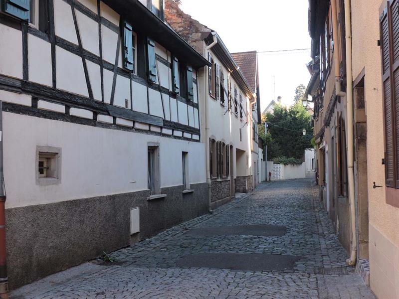Molsheim et sa Chartreuse commentée