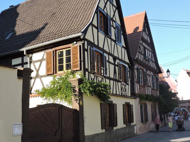 Molsheim et sa Chartreuse commentée